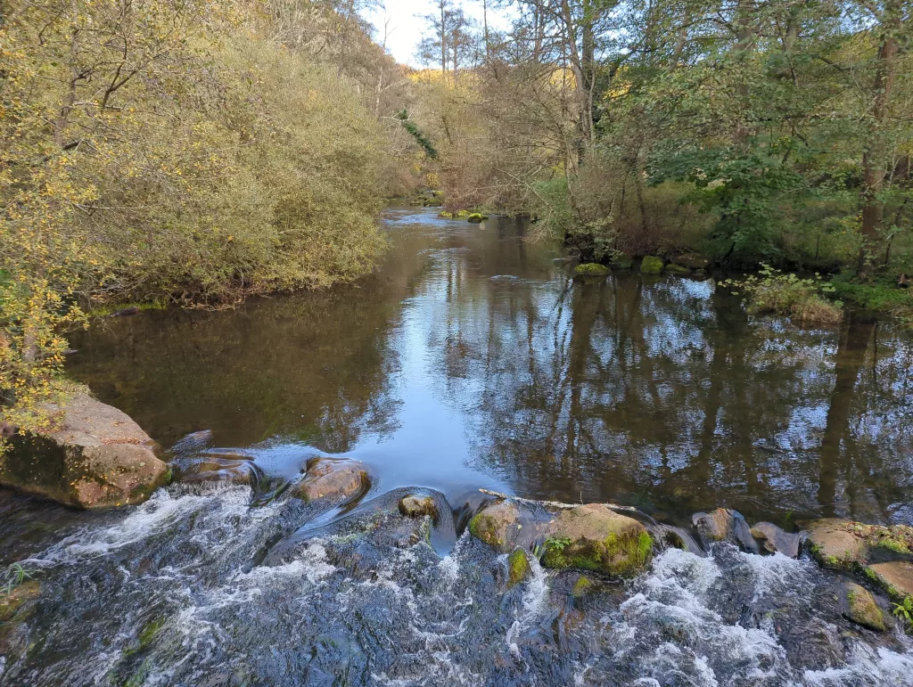 Photo "Les Gorges de Saint-Aubert"