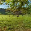 Photo "Les Gorges de Saint-Aubert"