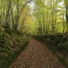 Photo "Les Gorges de Saint-Aubert"