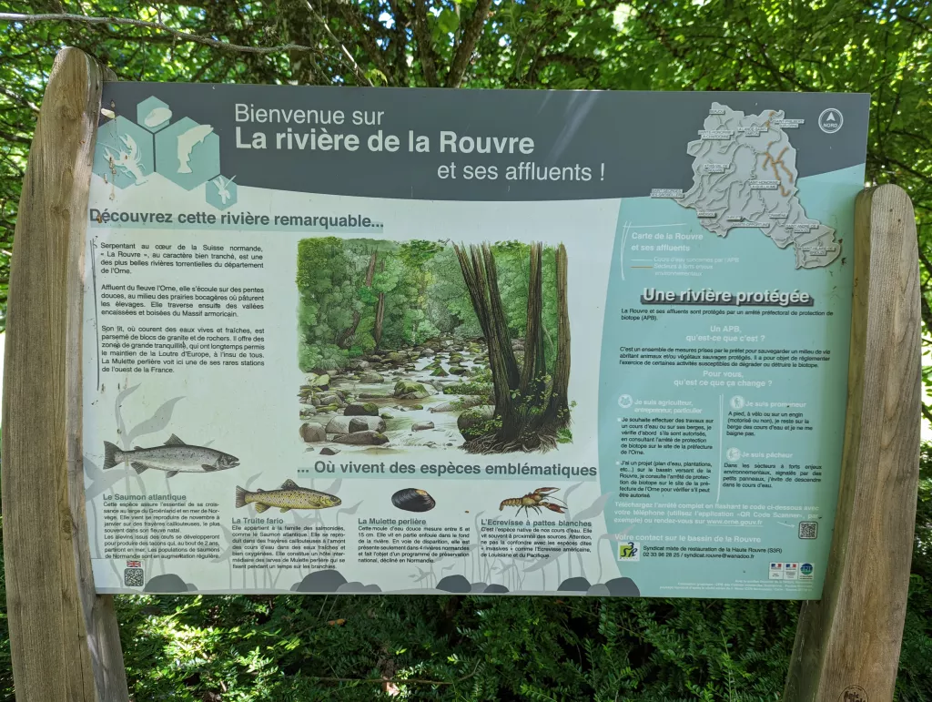 Biodiversité dans la rivière "La Rouvre"