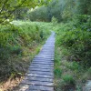 Les Gorges de Villiers